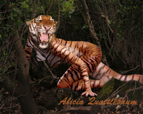 Tigress